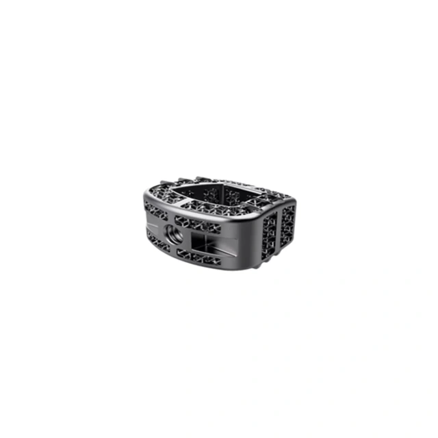 3D Printing Tantalum ACDF Cage,Shinvaunited,3D Printing Tantalum ACDF Cage