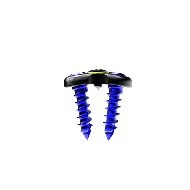 Anterior Cervical Plate - Type I,Shinvaunited,Anterior Cervical Plate - Type I