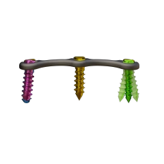 Anterior Cervical Plate - Type II,Shinvaunited,Anterior Cervical Plate - Type II