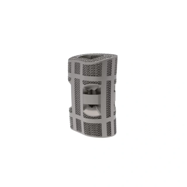 Thoracolumbar Vertebral Body Replacement,Shinvaunited,Thoracolumbar Vertebral Body Replacement