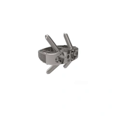 3D Printing ALIF Self-Stabilizing Cage System(Titanium),Shinvaunited,3D Printing ALIF Self-Stabilizing Cage System(Titanium)