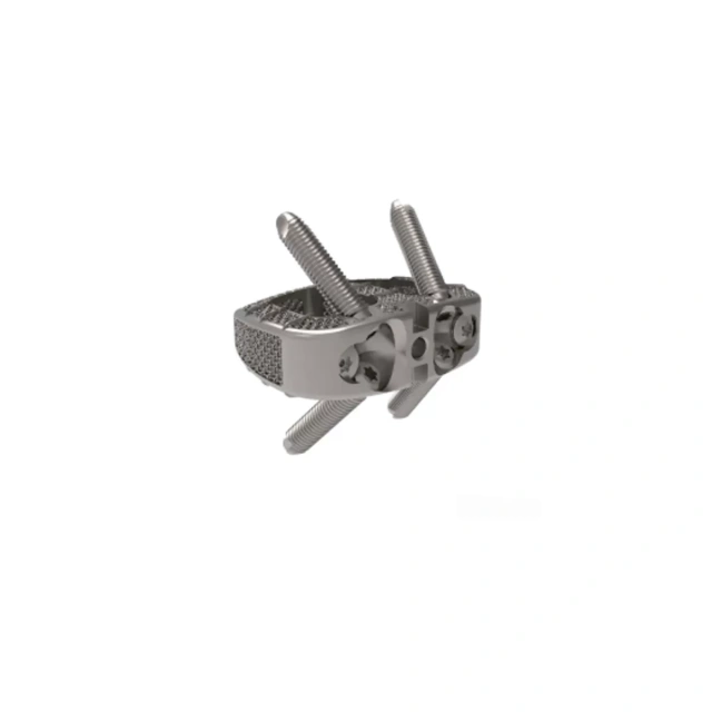 3D Printing ALIF Self-Stabilizing Cage System(Titanium),Shinvaunited,3D Printing ALIF Self-Stabilizing Cage System(Titanium)