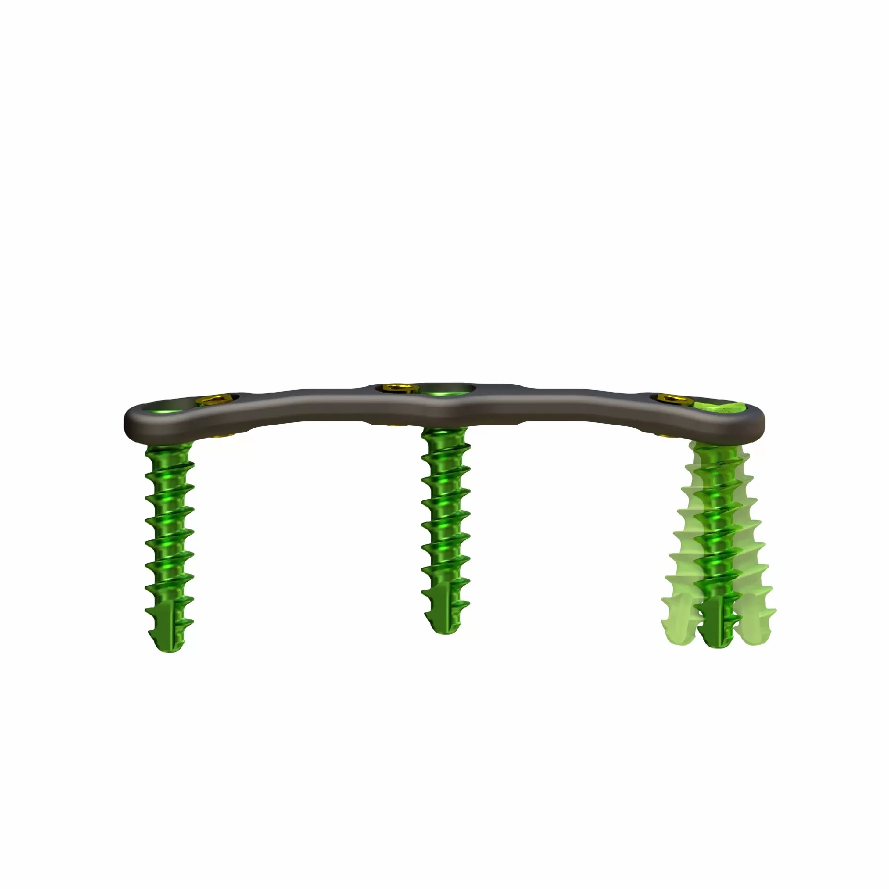 Anterior Cervical Plate – Type III,Shinvaunited,Anterior Cervical Plate – Type III