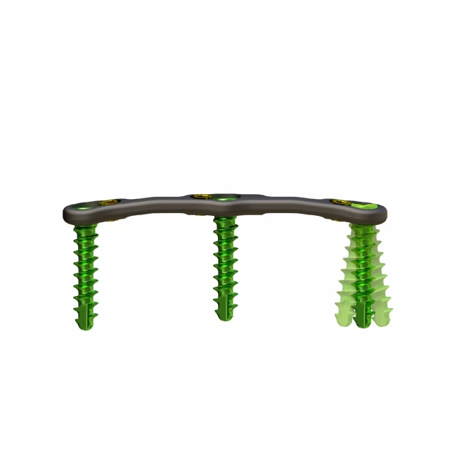 Anterior Cervical Plate – Type III,Shinvaunited,Anterior Cervical Plate – Type III