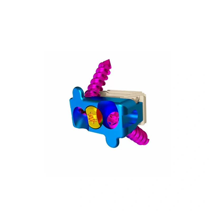 Cervical Interbody Fusion Cage (2 Screws),Shinvaunited,Cervical Interbody Fusion Cage (2 Screws)