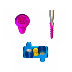 Cervical Interbody Fusion Cage (2 Screws),Shinvaunited,Cervical Interbody Fusion Cage (2 Screws)