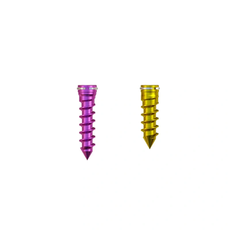 Cervical Interbody Fusion Cage (2 Screws),Shinvaunited,Cervical Interbody Fusion Cage (2 Screws)