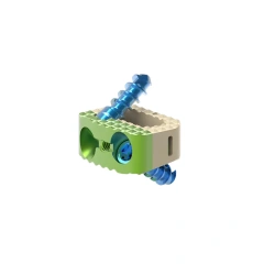 Cervical Interbody Fusion Cage (2 Screws),Shinvaunited,Cervical Interbody Fusion Cage (2 Screws)
