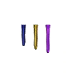 Cervical Interbody Fusion Cage (4 Screws),Shinvaunited,Cervical Interbody Fusion Cage (4 Screws)