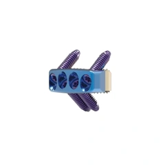 Cervical Interbody Fusion Cage (4 Screws),Shinvaunited,Cervical Interbody Fusion Cage (4 Screws)