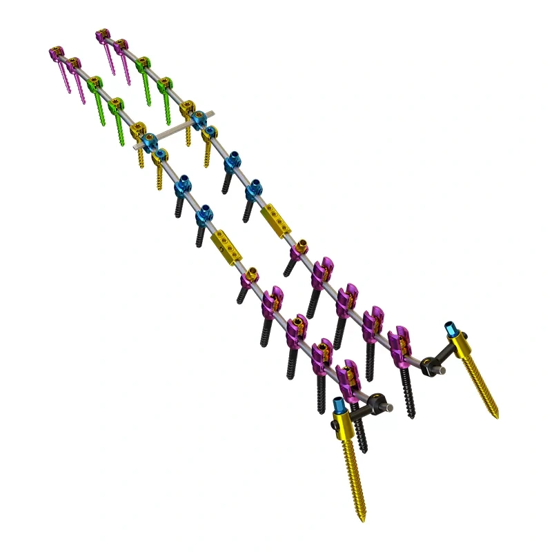 Posterior Thoracolumbar Spinal System 5.5,Shinvaunited,Posterior Thoracolumbar Spinal System 5.5