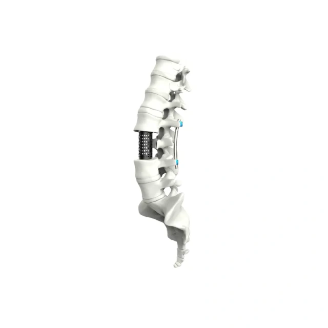 Titanium Mesh Cage,Shinvaunited,Titanium Mesh Cage