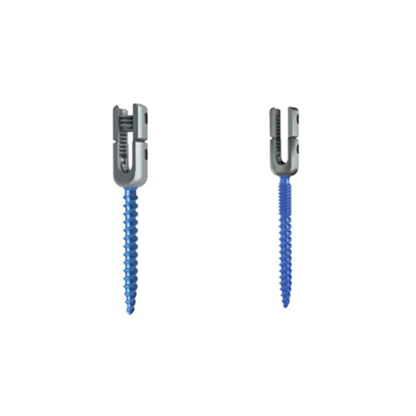 Polyaxial Pedicle Screw (Standard & Reduction),Shinvaunited,Polyaxial Pedicle Screw (Standard & Reduction)