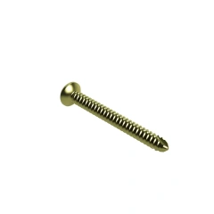 Femoral Reconstruction Nail,Shinvaunited,Femoral Reconstruction Nail