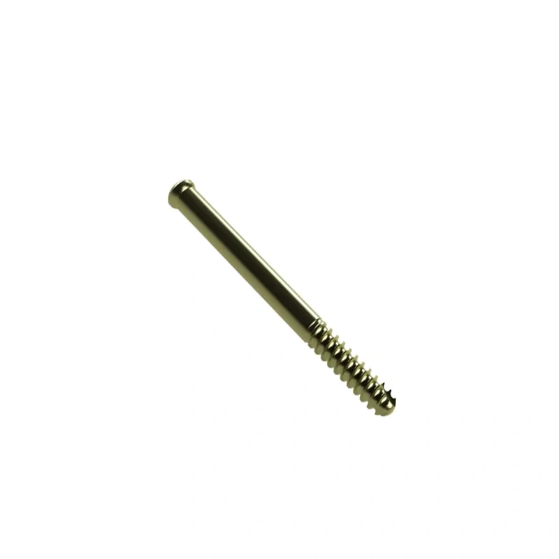 Femoral Reconstruction Nail,Shinvaunited,Femoral Reconstruction Nail