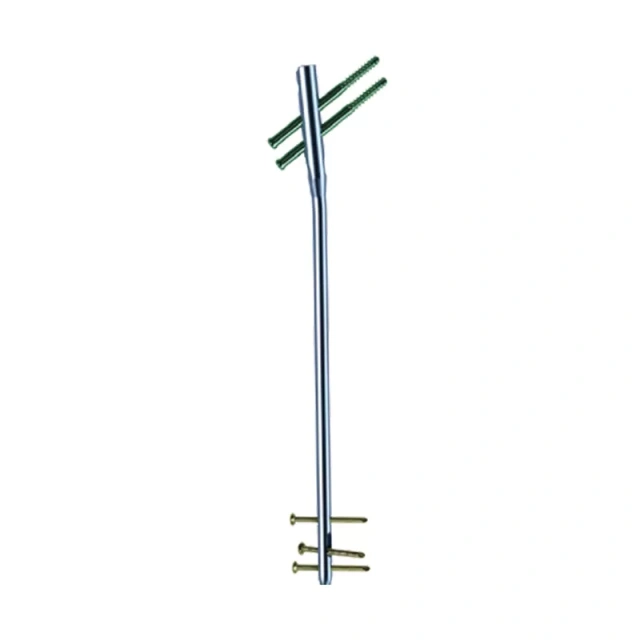 Femoral Reconstruction Nail,Shinvaunited,Femoral Reconstruction Nail