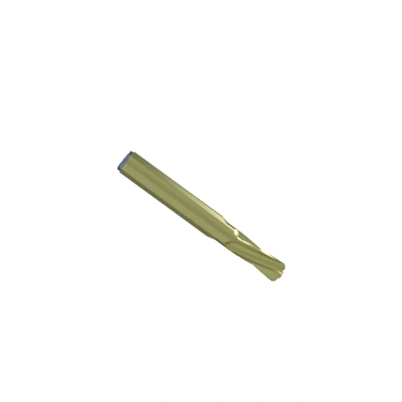 Proximal Femoral Nail Type I – Double Lag Screw,Shinvaunited,Proximal Femoral Nail Type I – Double Lag Screw