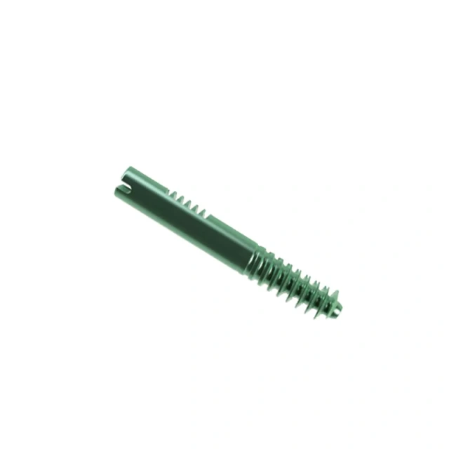 Proximal Femoral Nail Type II – Double Lag Screw,Shinvaunited,Proximal Femoral Nail Type II – Double Lag Screw