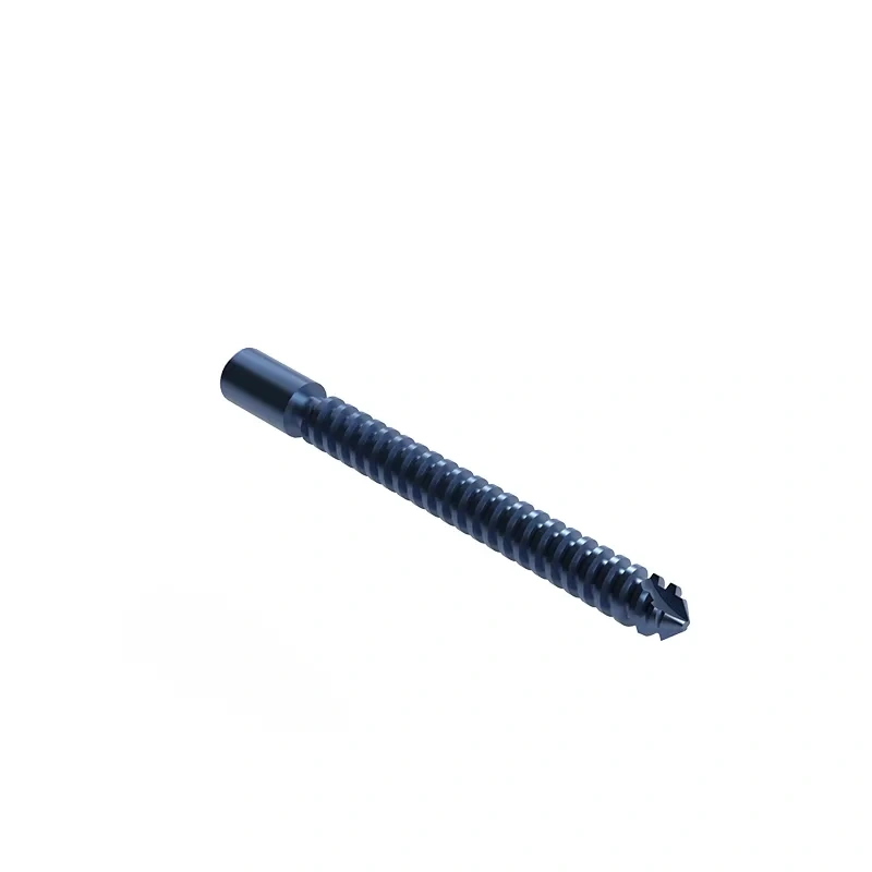 Proximal Femoral Nail Type II – Double Lag Screw,Shinvaunited,Proximal Femoral Nail Type II – Double Lag Screw
