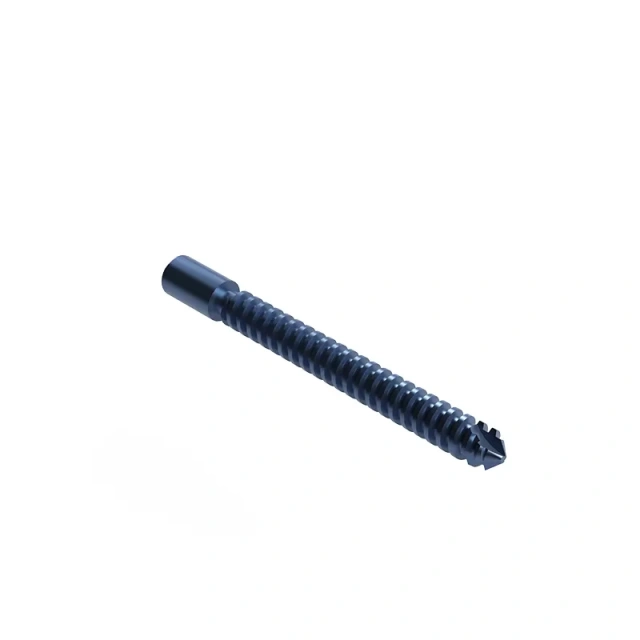 Proximal Femoral Nail Type II – Double Lag Screw,Shinvaunited,Proximal Femoral Nail Type II – Double Lag Screw