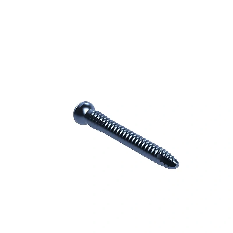 Proximal Femoral Nail Type II – Double Lag Screw,Shinvaunited,Proximal Femoral Nail Type II – Double Lag Screw