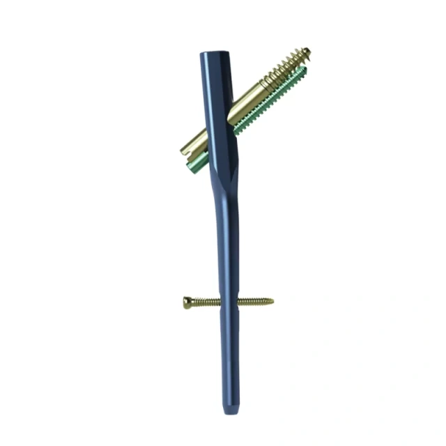 Proximal Femoral Nail Type II – Double Lag Screw,Shinvaunited,Proximal Femoral Nail Type II – Double Lag Screw