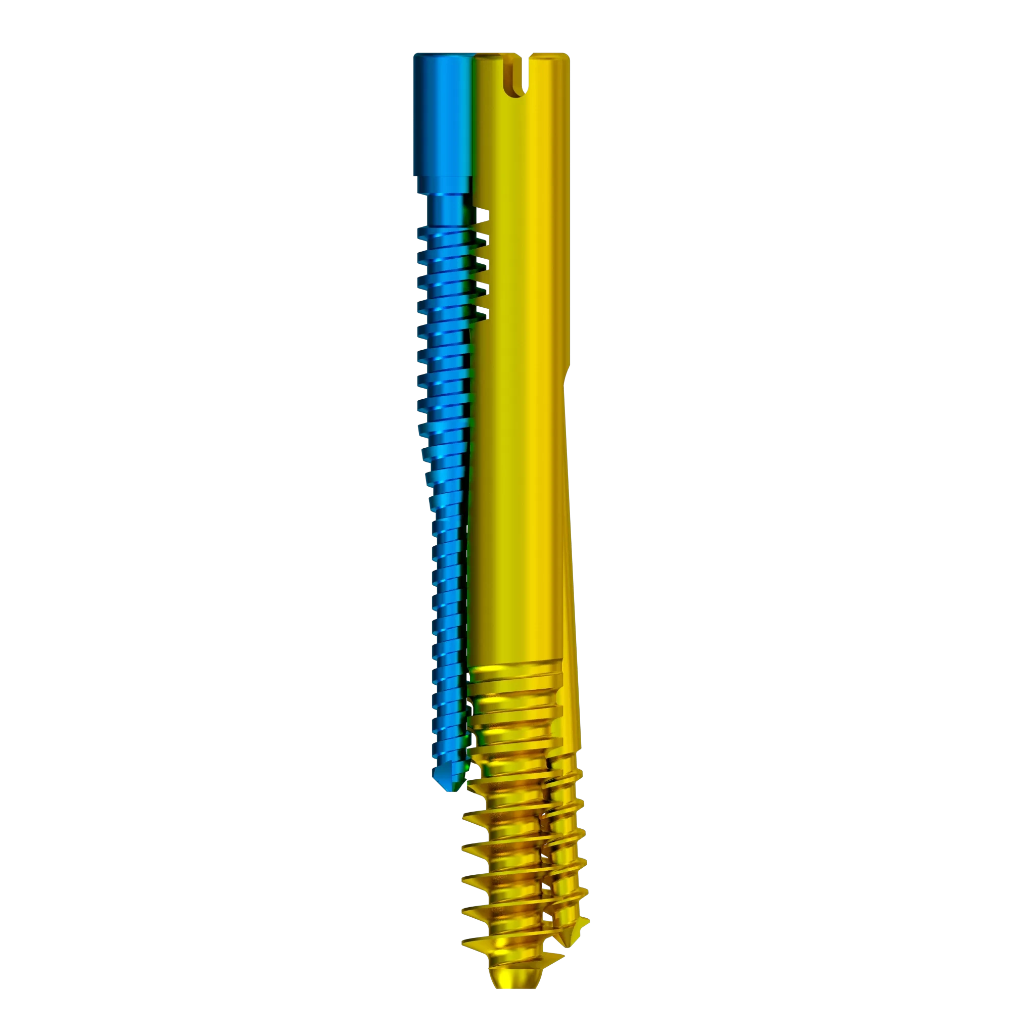 Proximal Femoral Nail Type II – Triple Screw Design (Intertan),Shinvaunited,Proximal Femoral Nail Type II – Triple Screw Design (Intertan)
