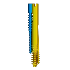 Proximal Femoral Nail Type II – Triple Screw Design (Intertan),Shinvaunited,Proximal Femoral Nail Type II – Triple Screw Design (Intertan)