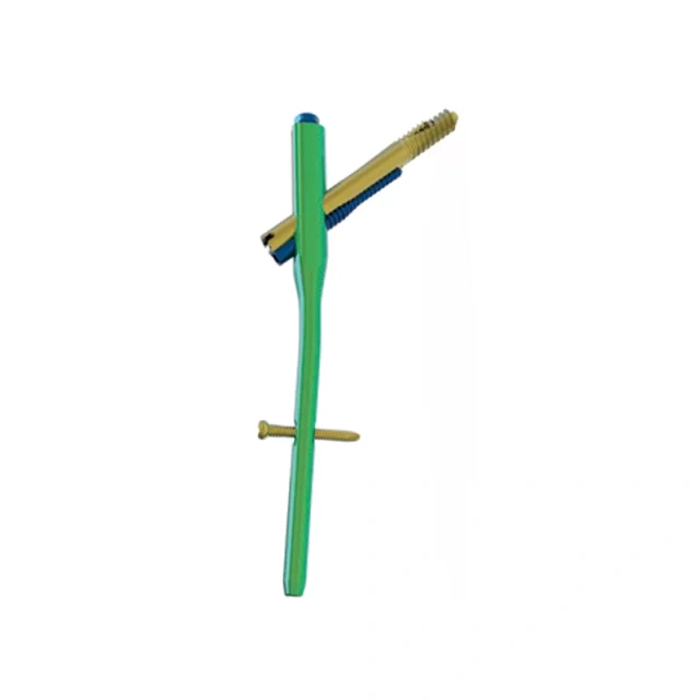 Proximal Femoral Nail Type II – Triple Screw Design (Intertan),Shinvaunited,Proximal Femoral Nail Type II – Triple Screw Design (Intertan)