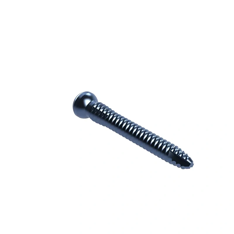 Proximal Femoral Nail Type I – Single Lag Screw,Shinvaunited,Proximal Femoral Nail Type I – Single Lag Screw
