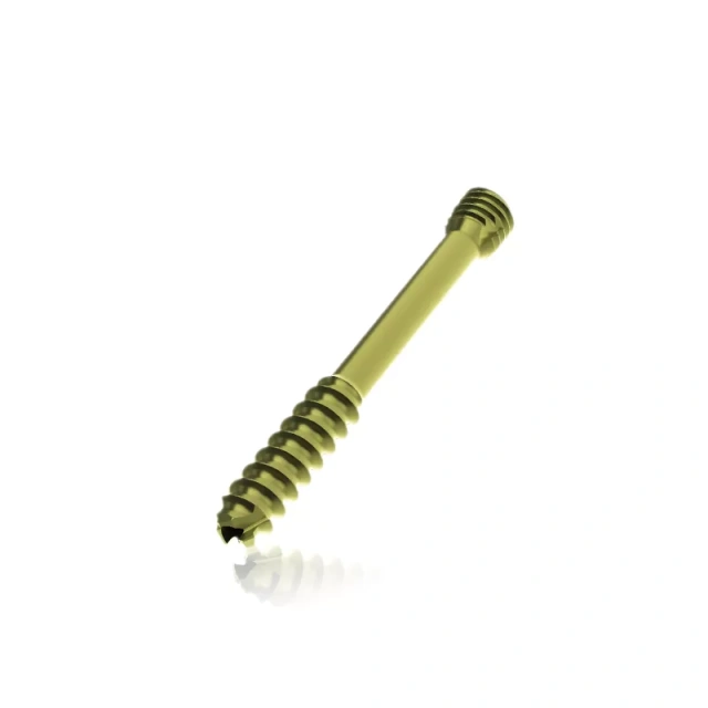 Double-headed Cannulated Screw,Shinvaunited,Double-headed Cannulated Screw