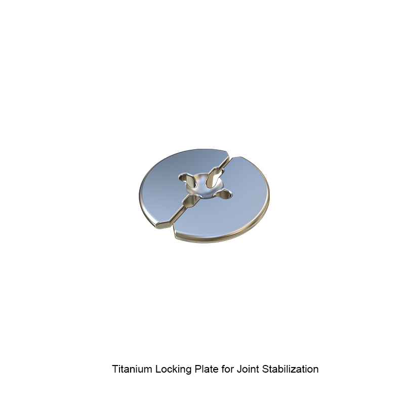 Titanium Plate,Shinvaunited,Titanium Plate
