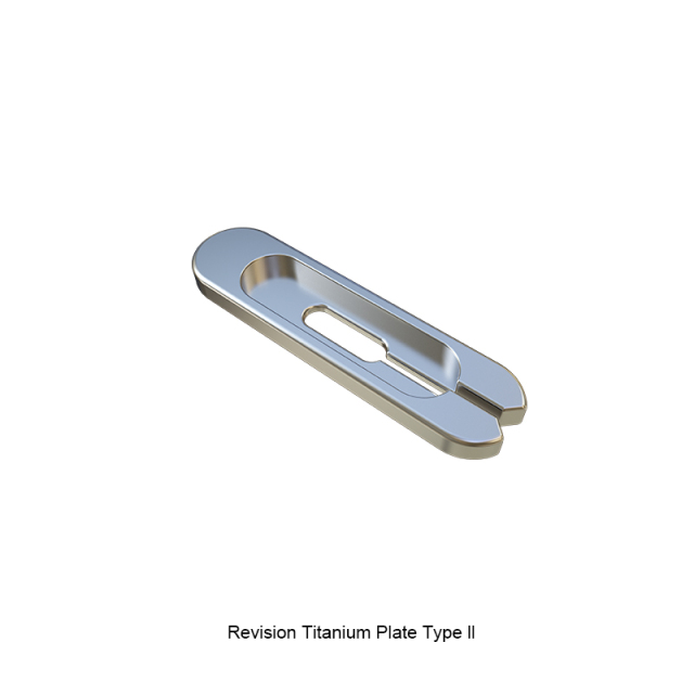 Titanium Plate,Shinvaunited,Titanium Plate