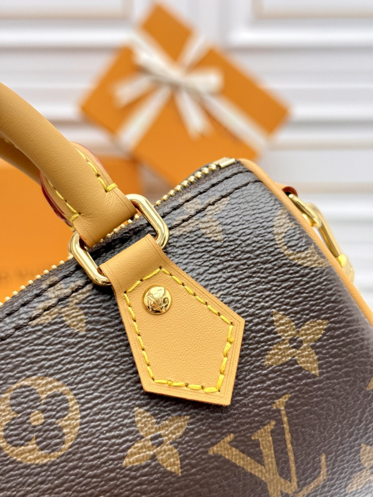 LV Nano Speedy M81085 Monogram