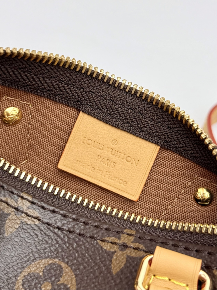 LV Nano Speedy M81085 Monogram