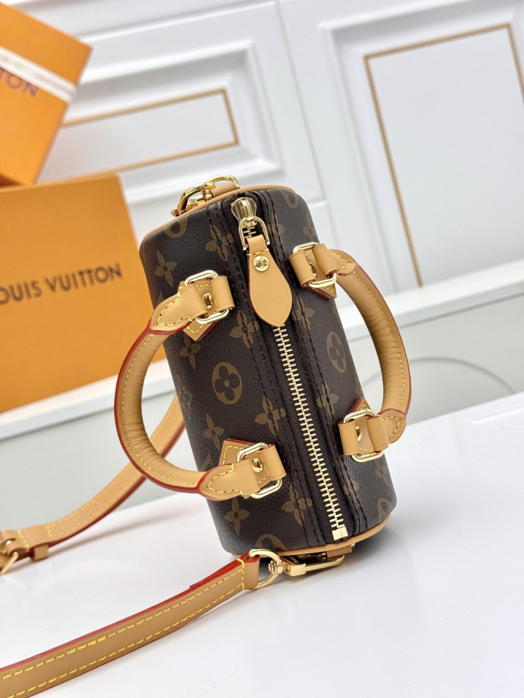 LV Nano Speedy M81085 Monogram