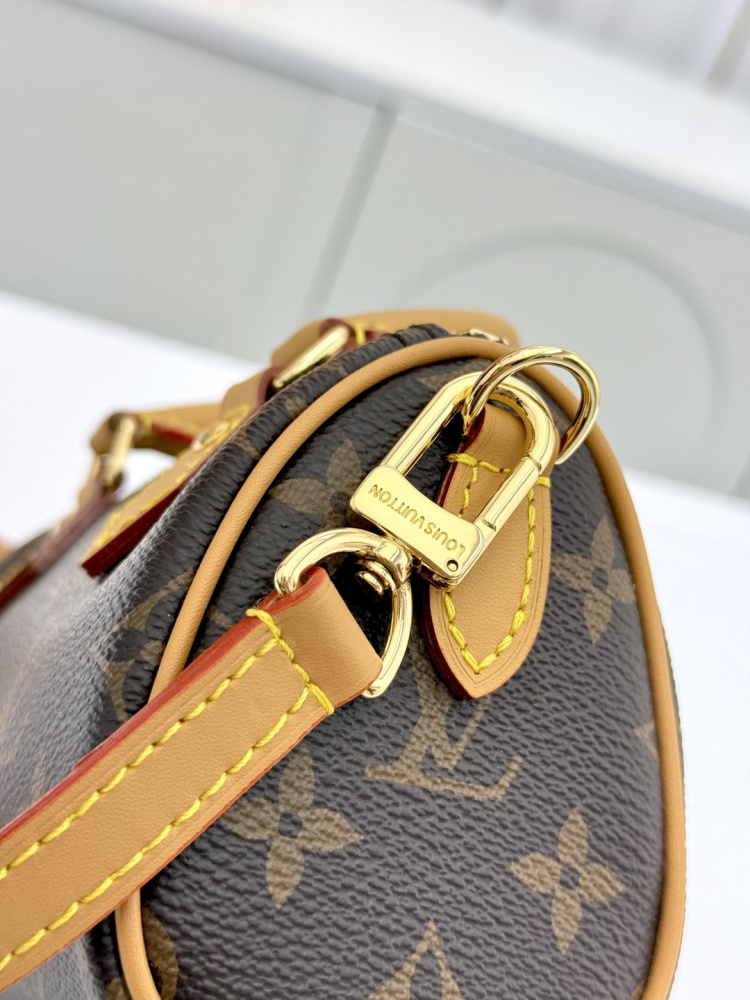LV Nano Speedy M81085 Monogram