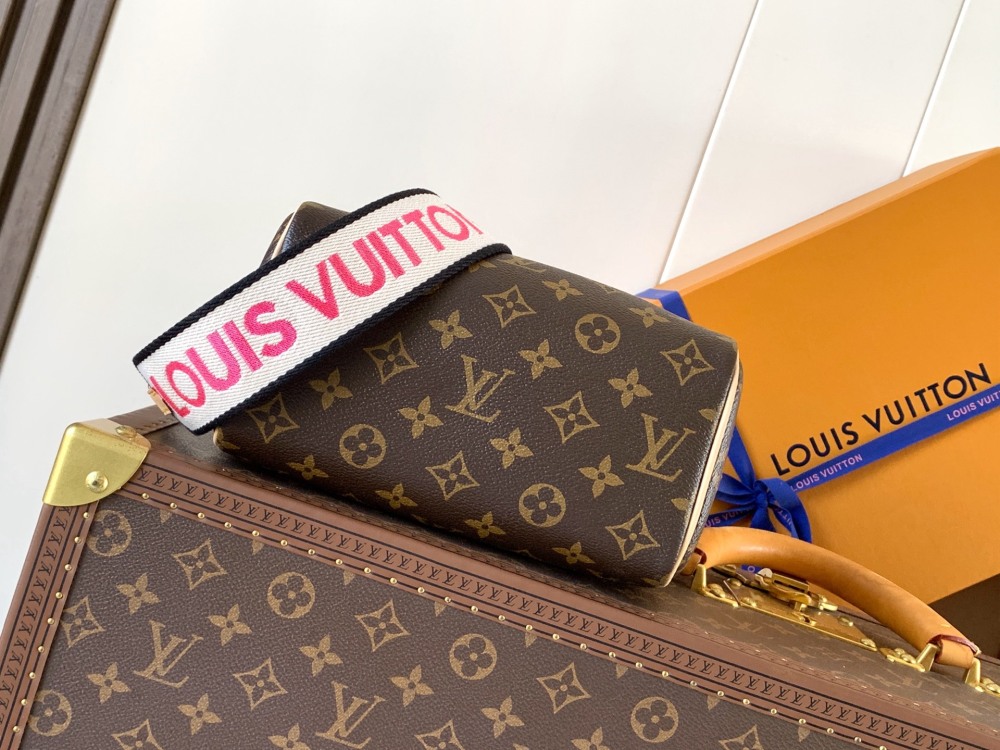 LV Speedy Bandoulière Handbag M13039/M46222/M46234/M46234/M40489