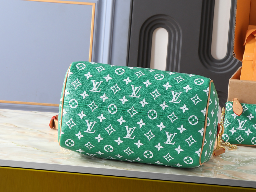 LV Speedy P2.52 Bandoulière 30 Handbag M24423