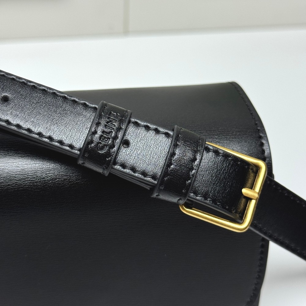 Celine Classique Triomphe Bag in Shiny Calfskin 006