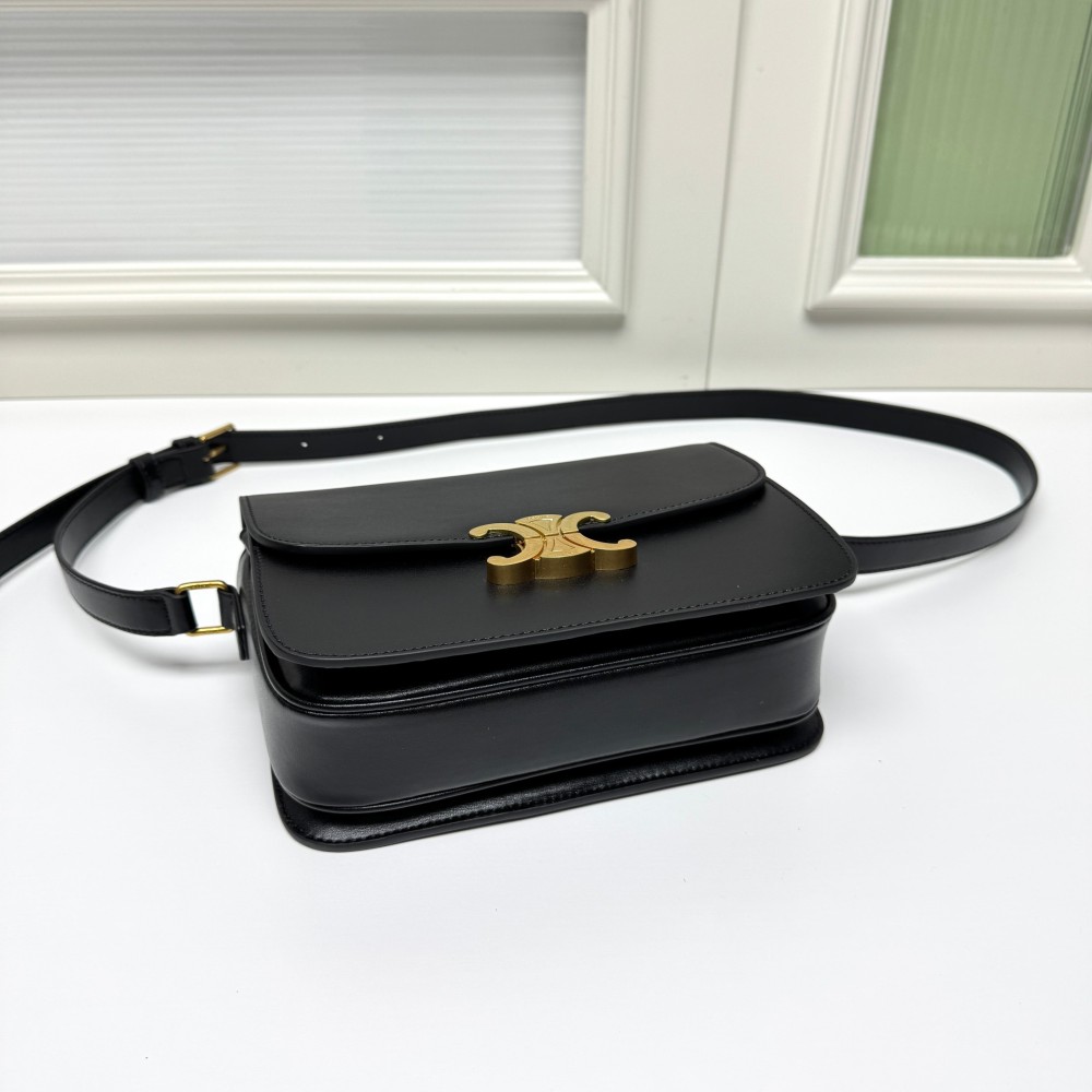 Celine Classique Triomphe Bag in Shiny Calfskin 006