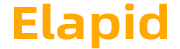 Elapid