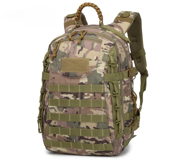 CP