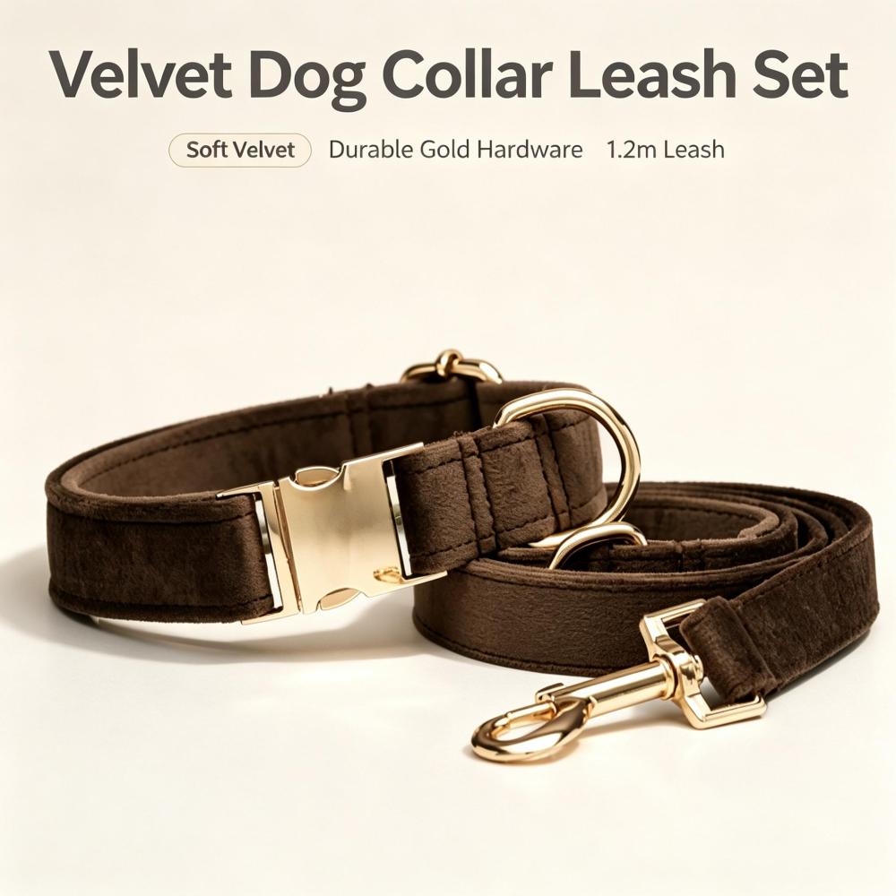 Premium Soft Velvet Dog Collar and Leash Set with Durable Gold Metal Hardware