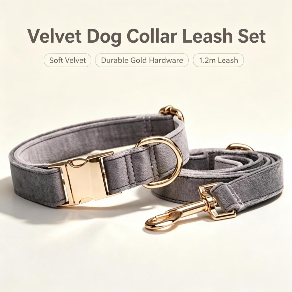 Premium Soft Velvet Dog Collar and Leash Set with Durable Gold Metal Hardware
