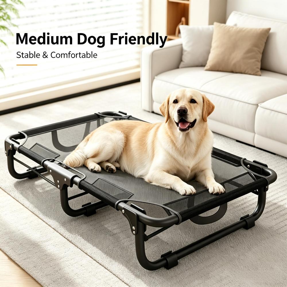 Foldable Raised Dog Bed | Breathable Elevated Pet Cot