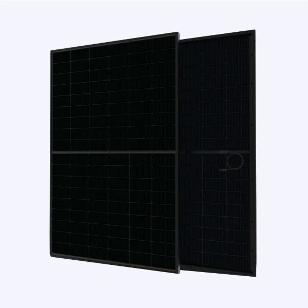 Talesun 445W BIPRO Bifacial Dual Glass N-Type All Black Solar Panel &ndash; TM7G54M-445