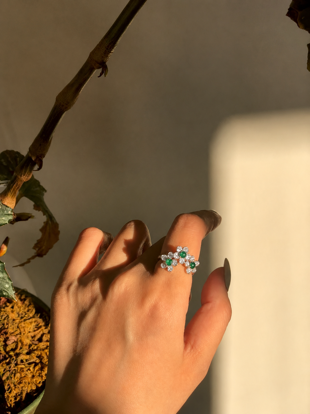 Trilogy of Frost Ring