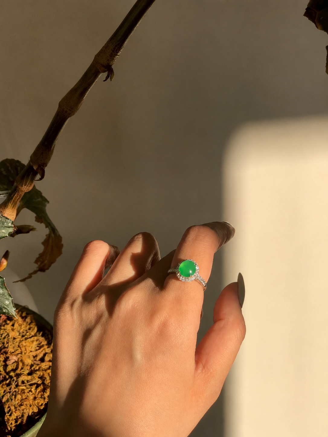 The "Lotus Awakening" Ring