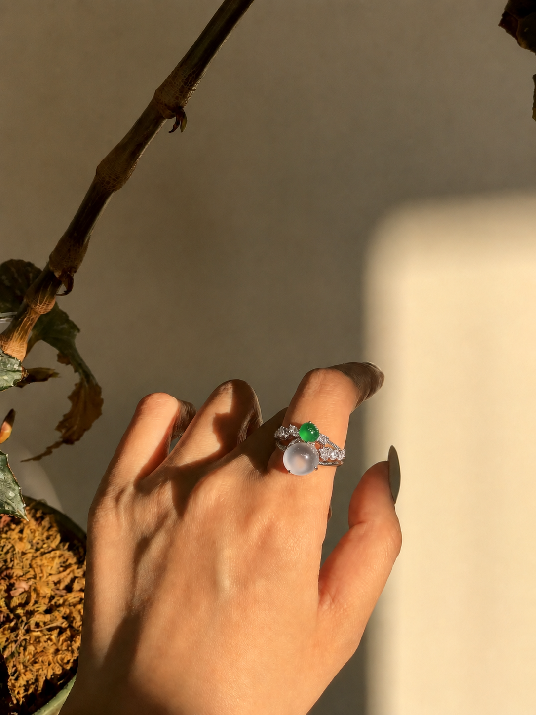 The Duet of Solitude & Life Ring